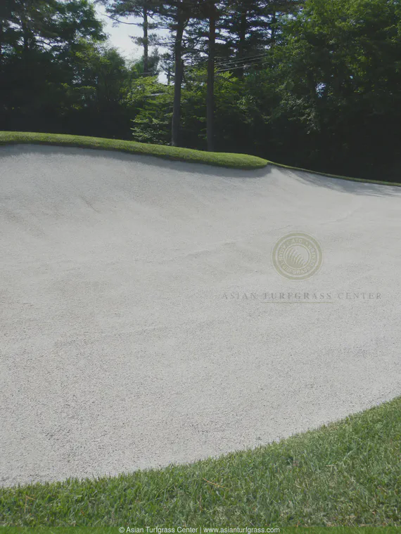 Karuizawa GC has some of the best playing conditions in all of Japan. This is a bunker at the practice area.