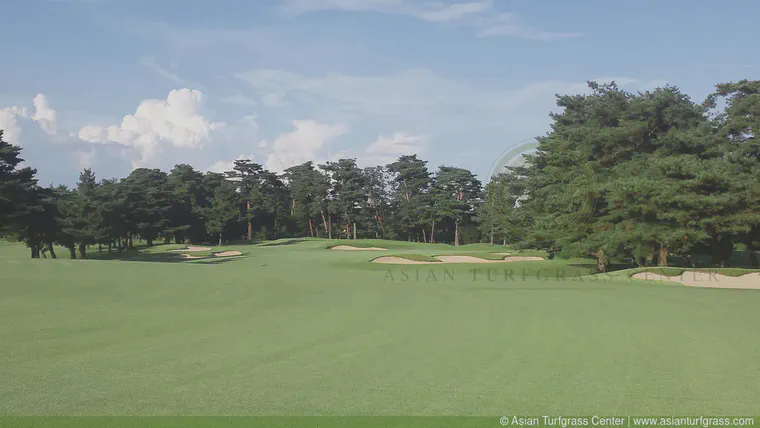 The West Course at Kasumigaseki CC.