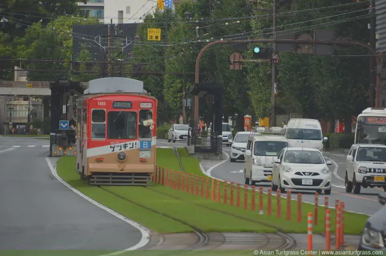 September: grass on the tram lines in Kumamoto