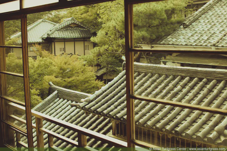 A view out the window of the Arai ryokan in Shuzenji, a hot spring town in the mountains of the Izu Peninsula.