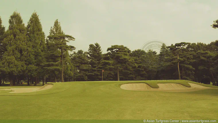 Tokyo Golf Club in recent years.