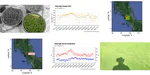 Worldwide agroclimatology data, PAR, shade, and grass