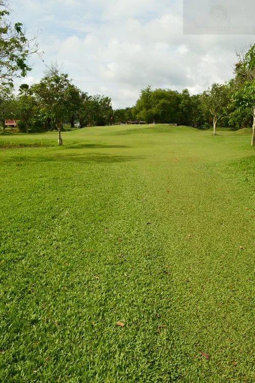 carpetgrass-walkway-sri-trang-golf-club_14812616554_o.jpg