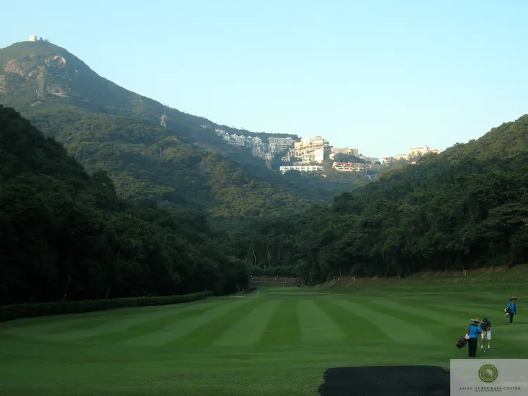 mowing-pattern-of-carpetgrass-fairway-at-hong-kong_3810888543_o.jpg