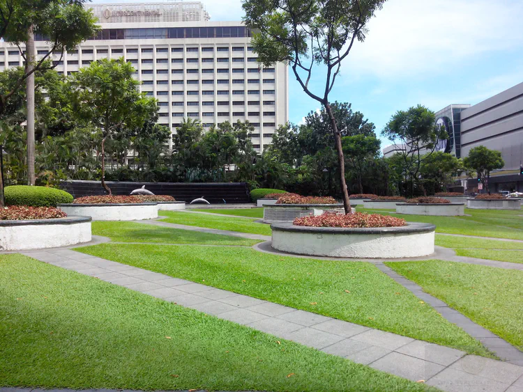 carpetgrass-lawn-in-makati_15227265181_o.jpg