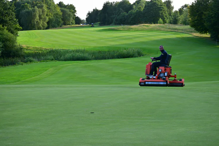 Approaches (or *forgreen* in Danish) were rolled along with the greens prior to the tournament to create a firm and smooth surface. And to help manage dollar spot.