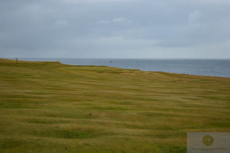 fairway undulations caused by frost heaving: One of the challenges at many courses in Iceland is frost heaving, which leaves the ground uneven in the most affected areas. This fairway at Keilir GC shows the result of frost heaving that occurs each winter.