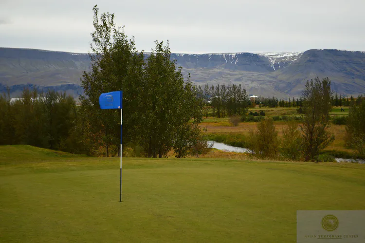 The 27 hole Korpa course at Reykjavik GC has primarily fine fescue greens. The Korpa River is in the background.