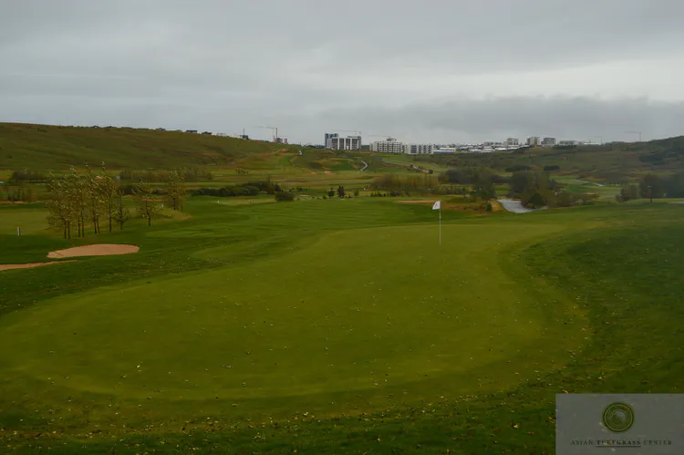 GKG Golf Club near Reykjavik: The relatively rich soil at GKG GC results in greener turf and provides a footing for trees to grow. This is a parkland style golf course, a few kilometers from the sea and thus unaffected by salt spray, resulting in a green turf into late September.