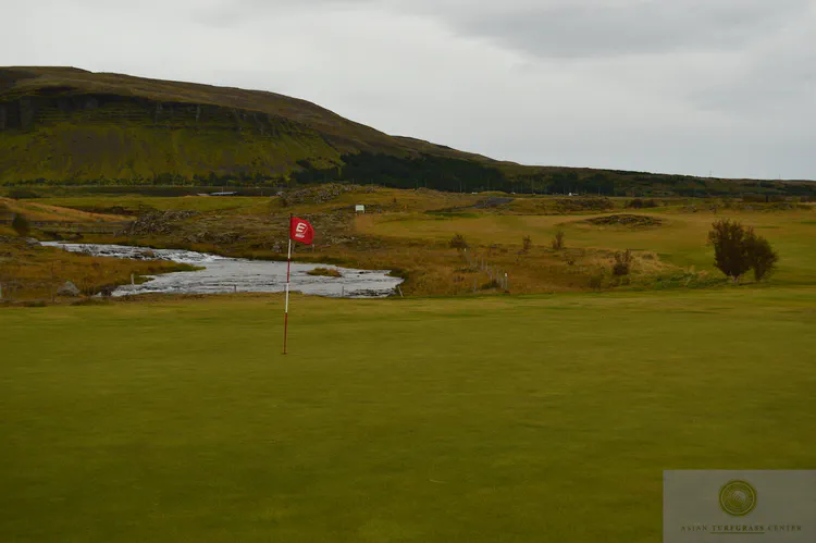 The Korpa course at Reykjavik GC is the newer of the two courses at this club. The Korpa River, known for its salmon runs, twists though the course. Icelandic horses graze in the surrounding pastures.