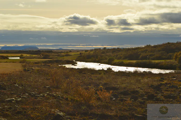 Geysir GC is Iceland's most inland course. It is about 63 km from the ocean. This inland course sits in a landscape unlike any other in the country, where most of the courses are so near the ocean.