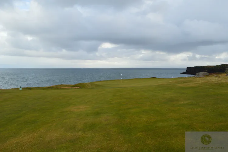 The 2nd at Sudernesja GC plays down to the ocean. Fairways are primarily fine fescue (*Festuca rubra*), and greens are *Festuca rubra* with *Poa annua*.