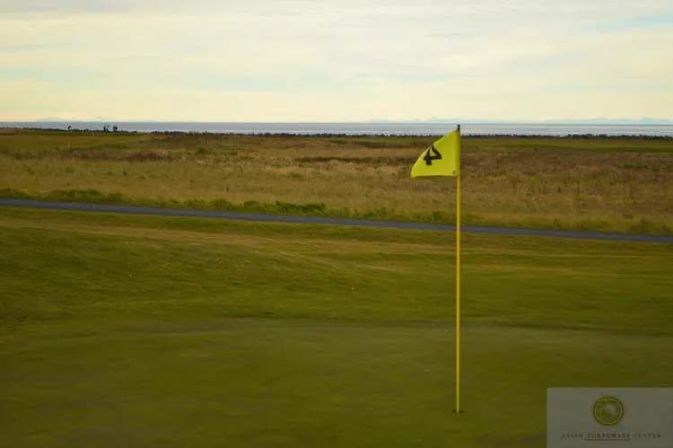 Seltjarnarnes GC with Snæfellsjökull in the background: Seltjarnarnes GC is on a peninsula near Reykjavik. This course is know for the many birds that flock here, and on clear days, the Snæfellsjökull volcano is visible across the sea. Snæfellsjökull was the setting, in the Jules Verne novel [Journey to the Center of the Earth](https://en.wikipedia.org/wiki/Journey_to_the_Center_of_the_Earth), in which the protagonists find the entrance to the subterranean passage.