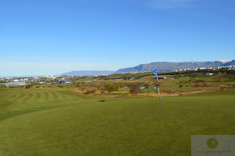 13th green, Grafarholt Course of Reykjavik GC: The Grafarholt Course at Reykjavik GC is the older of the two courses at the largest club in Iceland. It sits in a valley with the sea at Reykjavik visible to the left, and snow covered mountains visible here on a fine late-summer day.