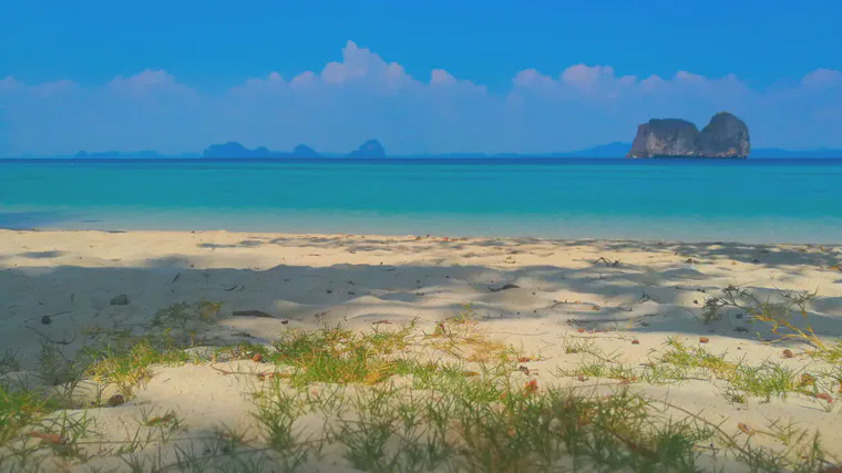 A beach with manilagrass in the Andaman Sea, March