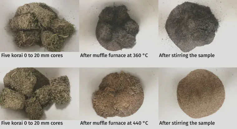 Five soil plugs at a 0 to 20 mm depth below the surface from a korai (*Zoysia matrella*) golf course putting green were burned in a muffle furnace at 360 and 440 °C. These photos show the charred residue remaining after a 360 °C burn, and the complete ashing after a 440 °C burn.