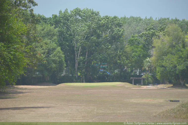 May: end of dry season colours in Chumphon