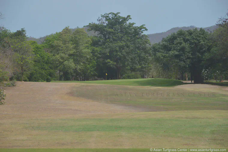 May: end of dry season colours in Hua Hin