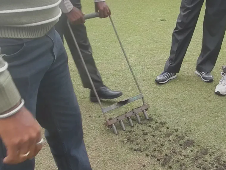 Manual core aeration of a putting green in Tamil Nadu, India.
