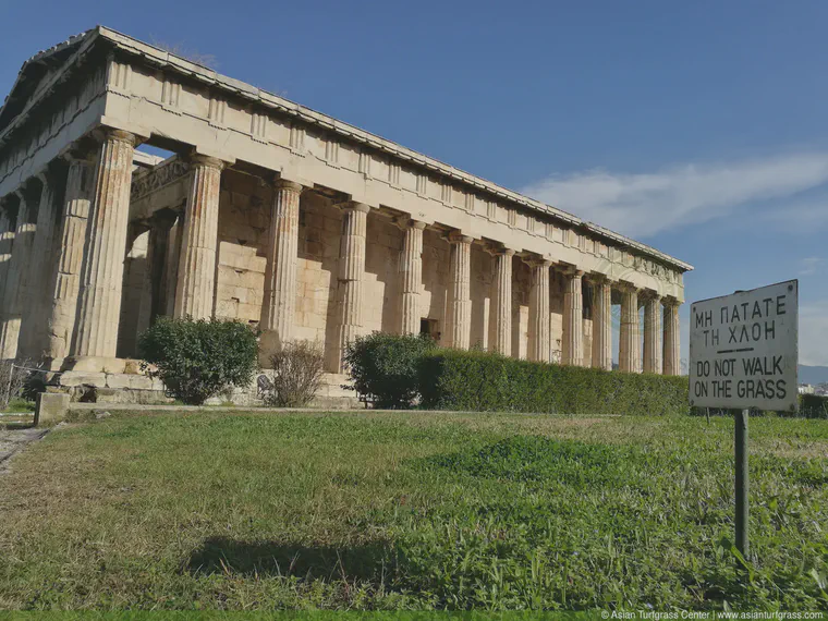 December: An untrafficked lawn in Athens