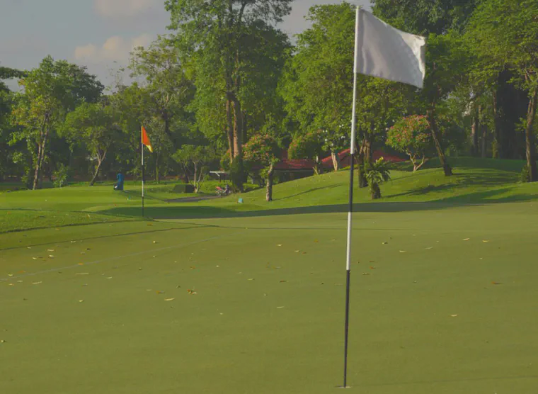 30 cores were collected from this double green in Bangkok and the cores were tested individually at Brookside Laboratories.