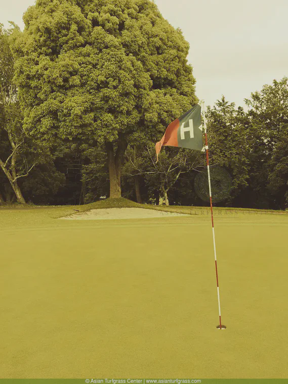Classic flags are still used at Hodogaya Country Club.