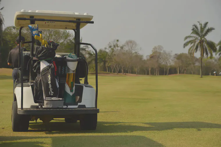 Regular fairway irrigation during the dry season prevents the manilagrass from going dormant.