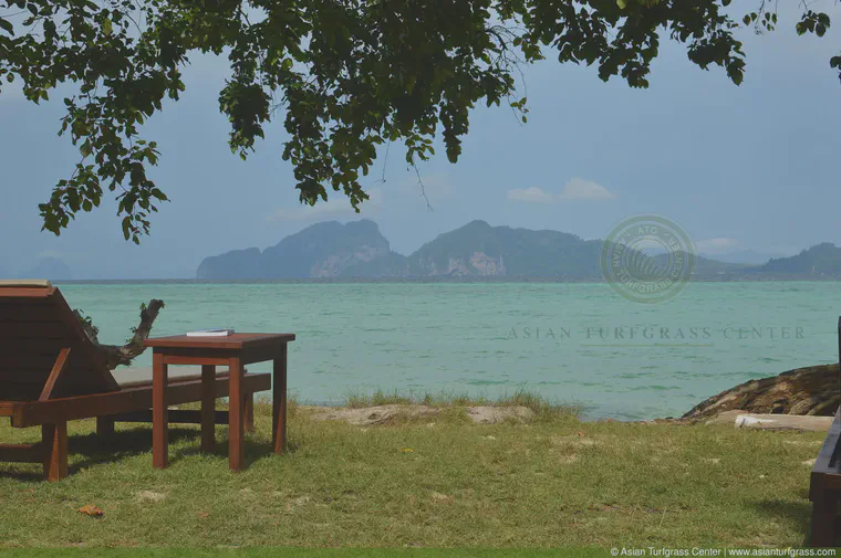 January: Seashore paspalum lawn on an island in the Andaman Sea