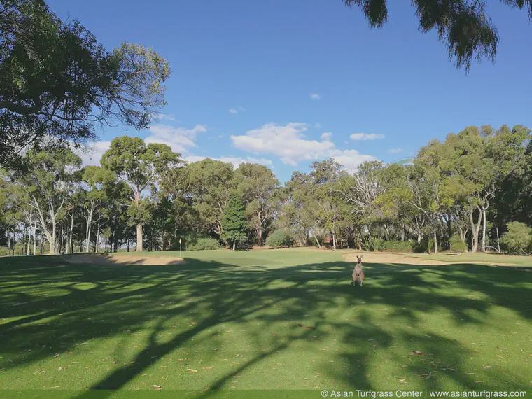 May: I went to Australia, and it is still a novelty for me to see kangaroos.