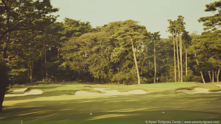 The short 16th on the East Course at Kasumigaseki CC prior to the pre-2020 Olympics renovation. Note the two greens. The flag is on the right green.