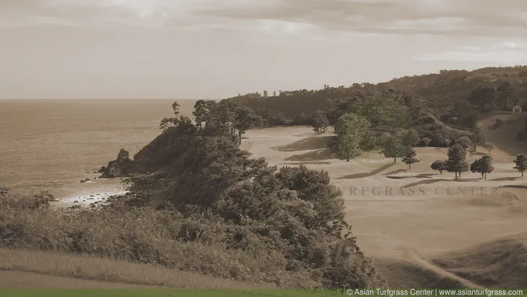 View from the 15th tee on the Fuji Course at Kawana.