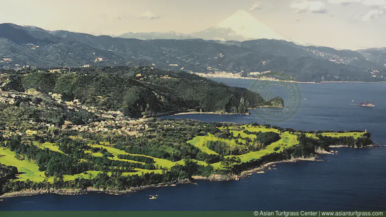 This photograph of the Fuji Course at Kawana can be seen in the Hotel/Clubhouse at the Resort.