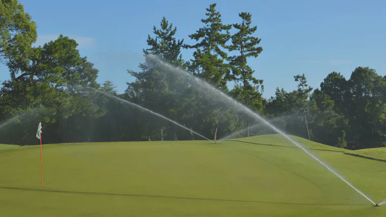 Irrigation water at Keya GC supplies 26 times more Ca than the grass uses.