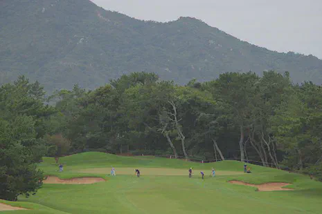 Trees around the 1st green at Keya GC.