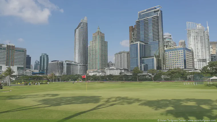 March: Putting green of manilagrass in central Bangkok