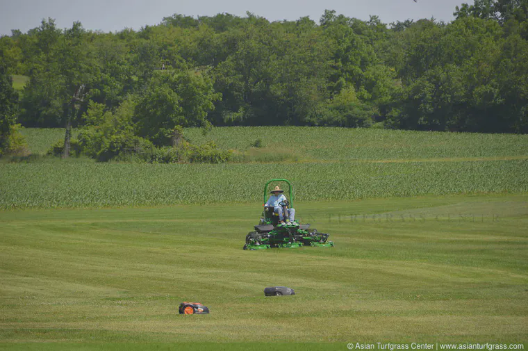 June: autonomous mowers and a conventional mower