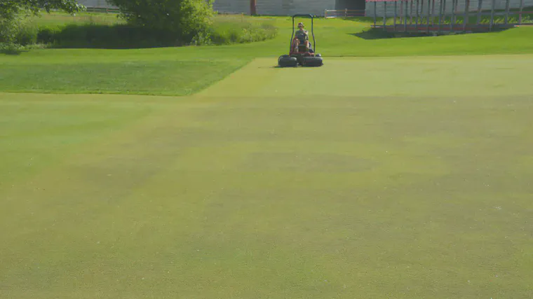 The letter **P** on this creeping bentgrass green at the O.J. Noer Turfgrass Research and Education Facility in Madison, Wisconsin, was caused by an application of P; the darker turf around the letter **P** did not receive P.