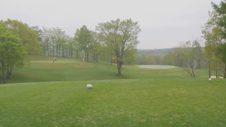 The two green system on a par 3 hole in Hokkaido, Japan.