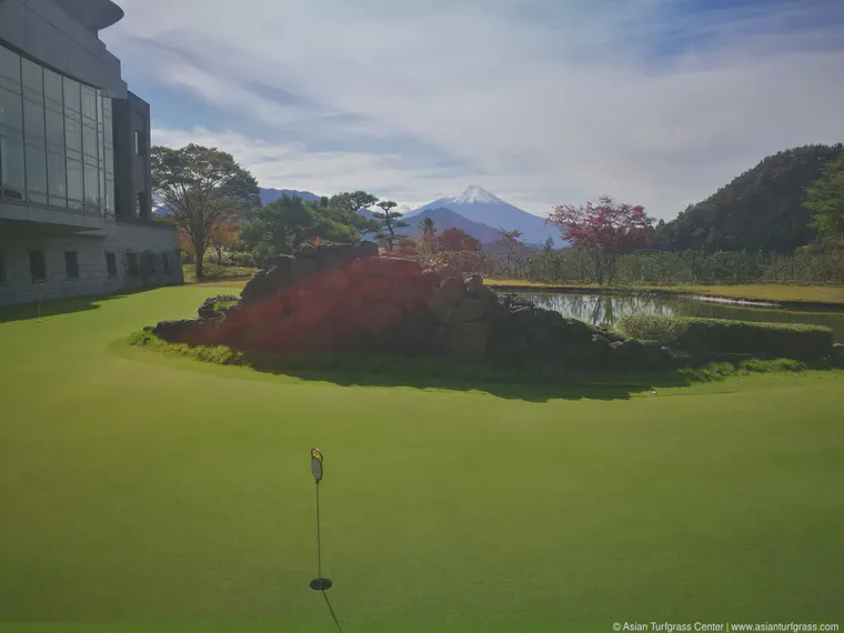 October: A 777 creeping bentgrass practice green near Mt. Fuji