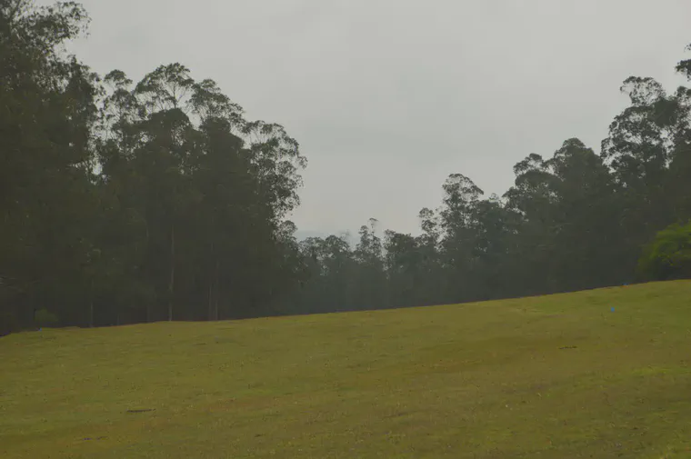 The 1st at Ootacamund Gymkhana Club (founded 1896) is strikingly reminiscent of the 10th at Augusta National. This long dogleg left plays steeply downhill in a wide corridor between tall evergreen trees. Unlike Augusta National, no mechanical mowers have ever been used on this fairway.