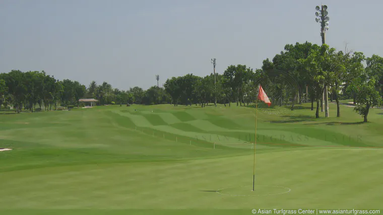 The fairway is being converted from bermudagrass to seashore paspalum