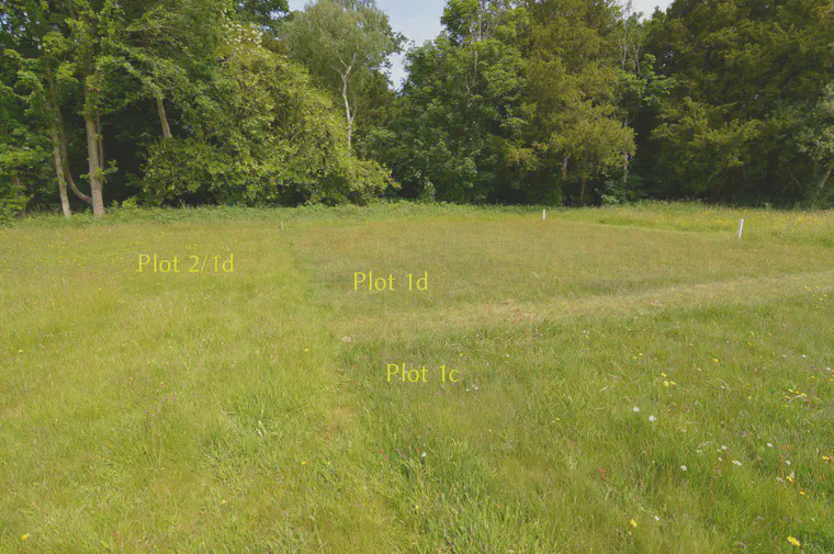 Plot 1d is the 'Plot 1, unlimed ... amazingly lawn-like vegetation;' this photo was taken in June 2015.