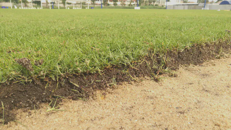 A layer of organic matter has accumulated at the surface of this seashore paspalum pitch in Bangkok, leading to wet and inconsistent conditions.