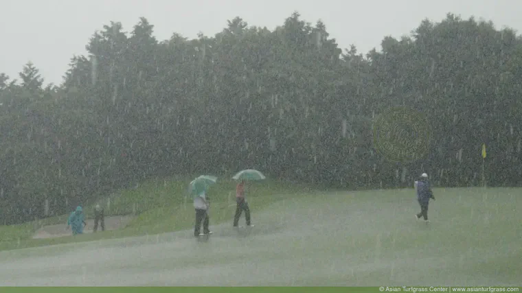 Hitting a bunker shot on a rainy day in Kagoshima.