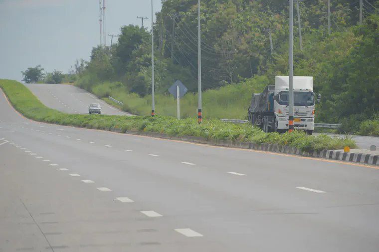 A few kilometers along the same highway, a slightly older stand of sodded manilagrass has been taken over by weeds.