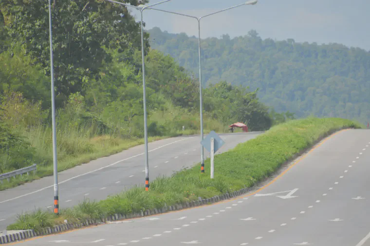 A few kilometers along the same highway, a slightly older stand of sodded manilagrass has been taken over by weeds.