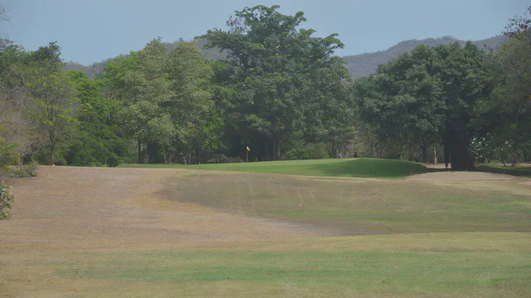 All kinds of colors through the green at Royal Hua Hin GC in May