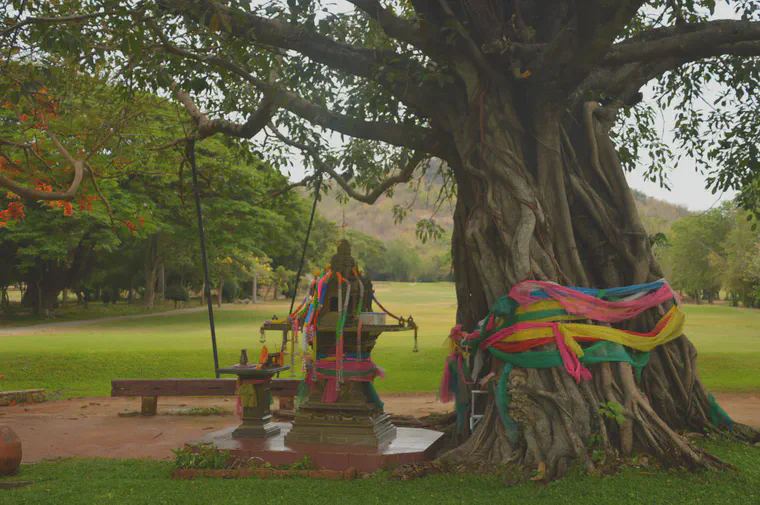 Prayer tree near the first tee at Royal Hua Hin GC