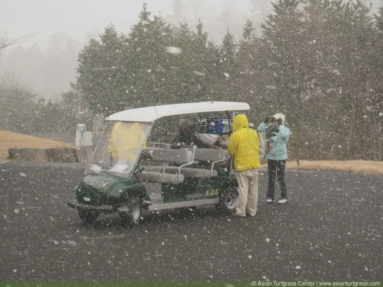 Golf during a snow squall in the Chubu region of Japan