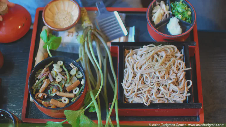 Soba noodles and a large piece of wasabi with grater at a restaurant in Shuzenji on the Izu Peninsula, Shizuoka prefecture.